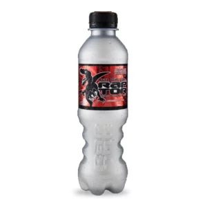 RAPTOR PET ORIGINAL 24/300 ML